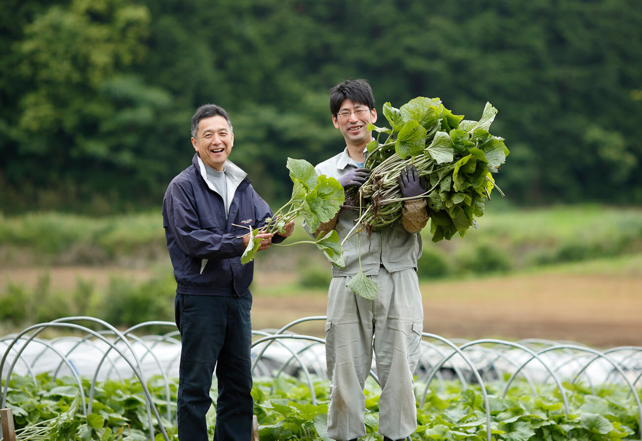 Kameya Wasabi - Our Authentic Roots